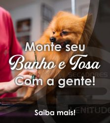 Kit Banho e Tosa Pet Shop